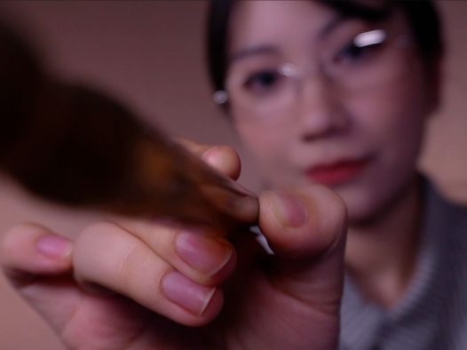 ASMR|眼部检测|按摩|白噪音